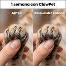 ClawPet - Tabla interactiva para Gatos