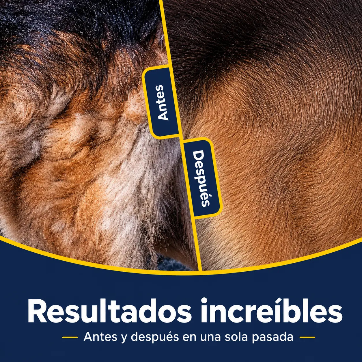 Peine multifuncional 3 en 1 para desenredar el pelo de mascotas